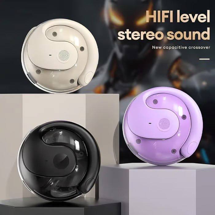 Wireless Bluetooth Translation Earbuds