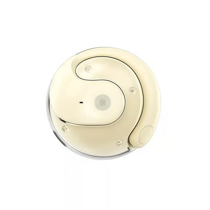 Wireless Bluetooth Translation Earbuds
