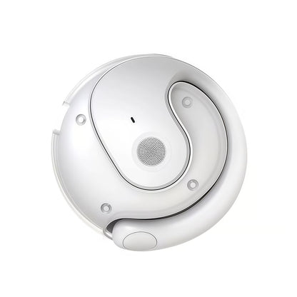 Wireless Bluetooth Translation Earbuds