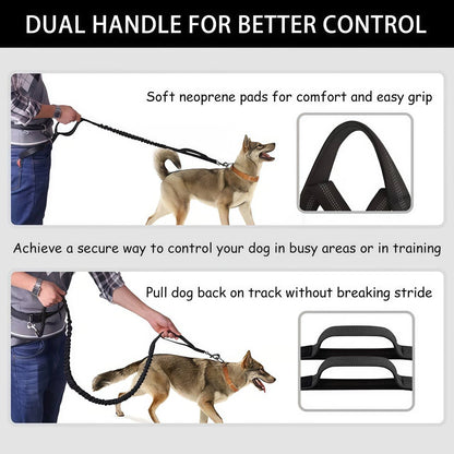 Hands Free Dog Leash with Zipper Pouch