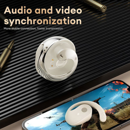 Wireless Bluetooth Translation Earbuds