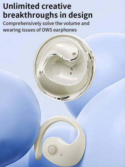 Wireless Bluetooth Translation Earbuds