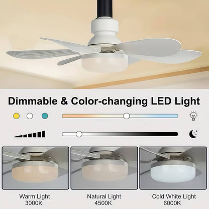 2-IN-1 PORTABLE CEILING FAN & LIGHT With Remote Control