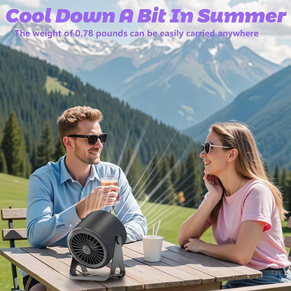 Portable Desk Fan